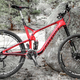 Illustration for article titled What I’ve Learned, Learning To Ride Mountain Bikes